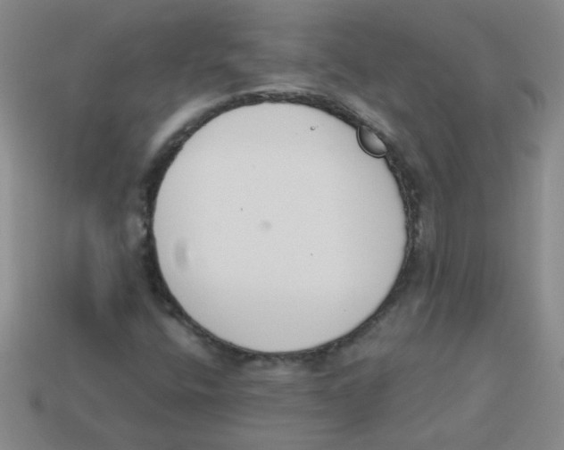 X0000113361400200910131251