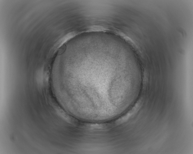 X0000113361401200910131251