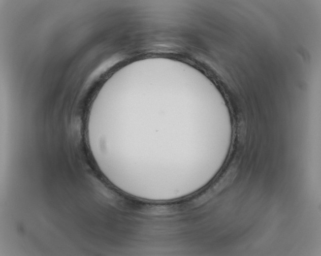 X0000113361402200910131251