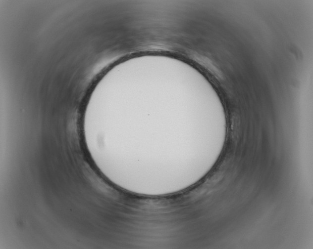 X0000113361404200910131251