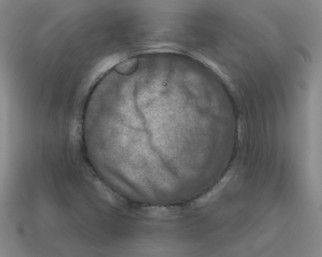 X0000113361405200910131251