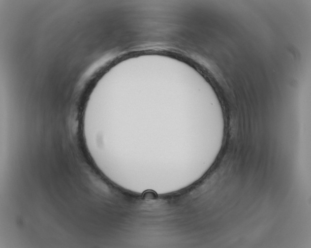 X0000113361406200910131251