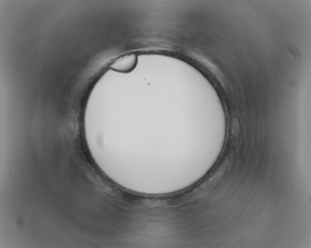 X0000113361407200910131251