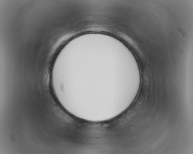 X0000113361408200910131251