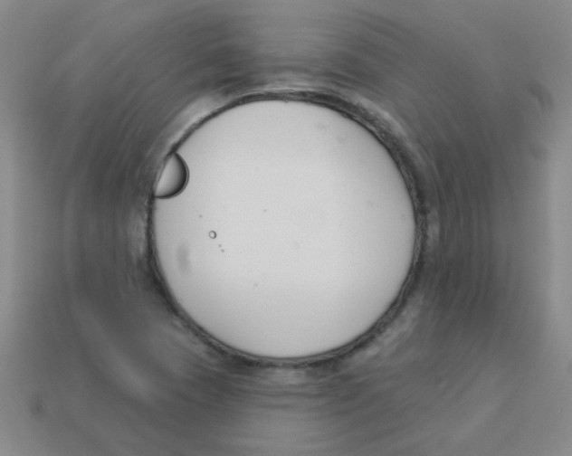 X0000113361409200910131251