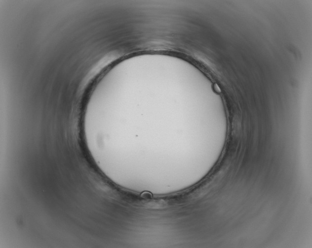 X0000113361410200910131251