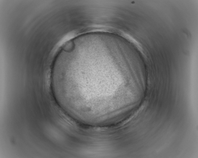 X0000113361411200910131251