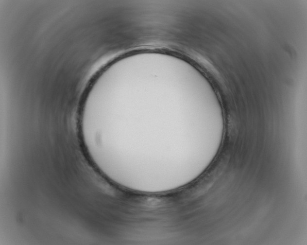 X0000113361412200910131251