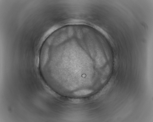 X0000113361413200910131251