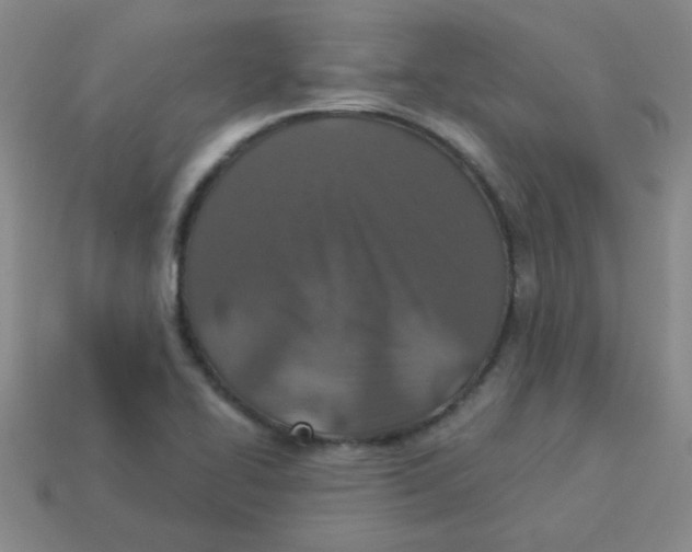 X0000113361414200910131251