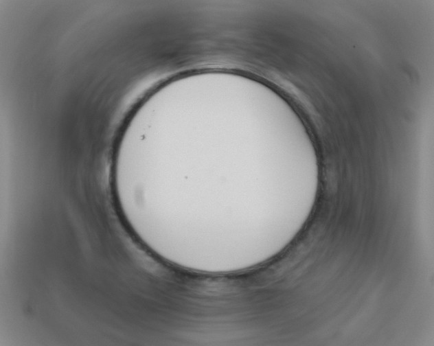 X0000113361416200910131251