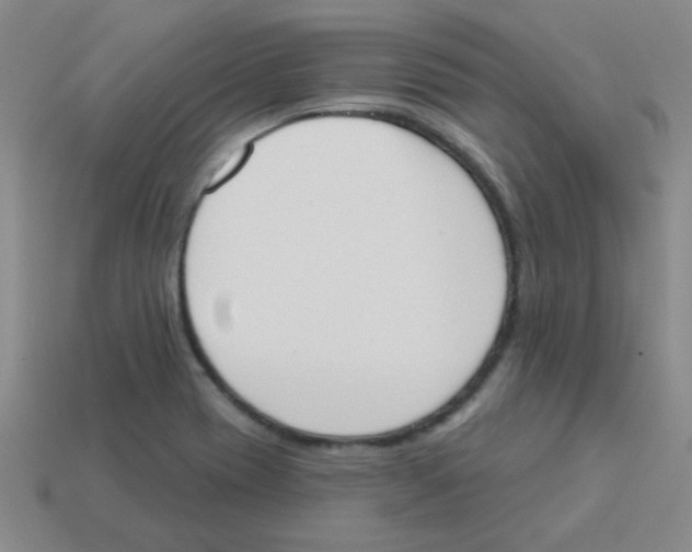 X0000113361417200910131251