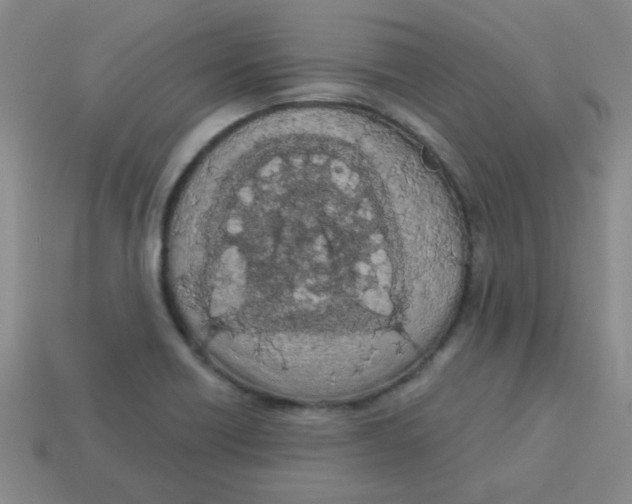 X0000113361418200910131251