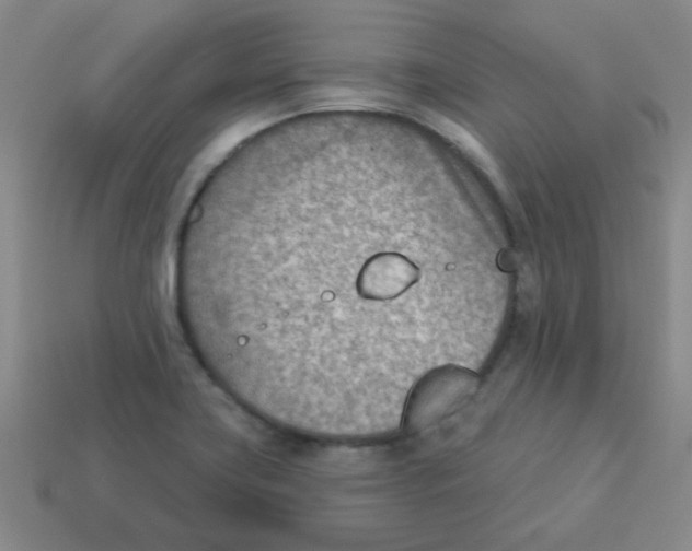 X0000113361419200910131251