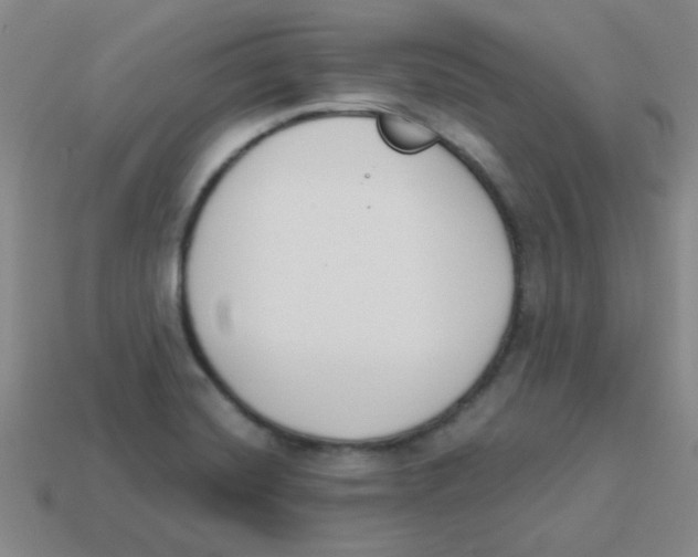 X0000113361420200910131251