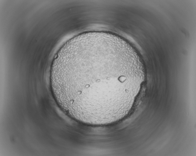 X0000113361421200910131251