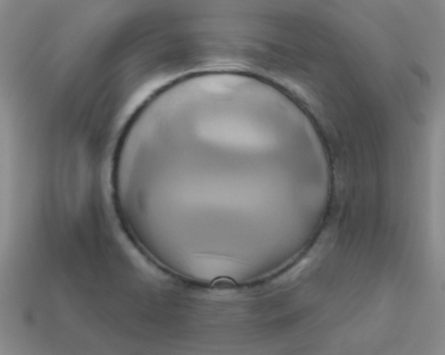 X0000113361422200910131251