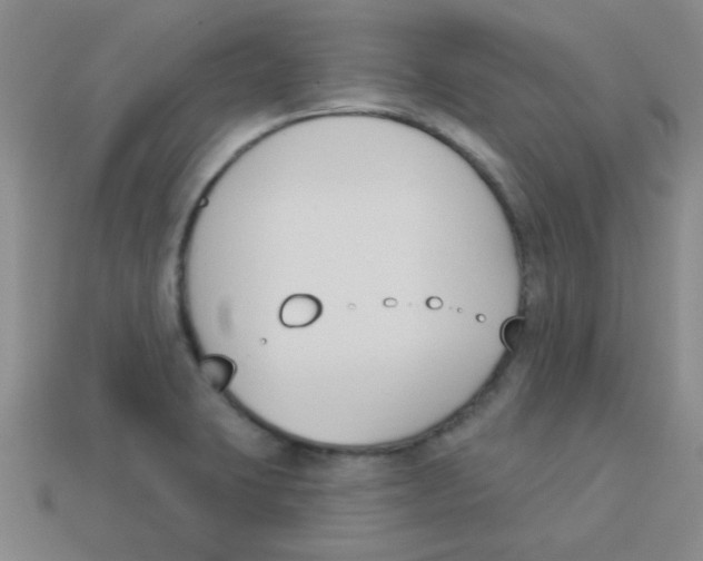 X0000113361423200910131251