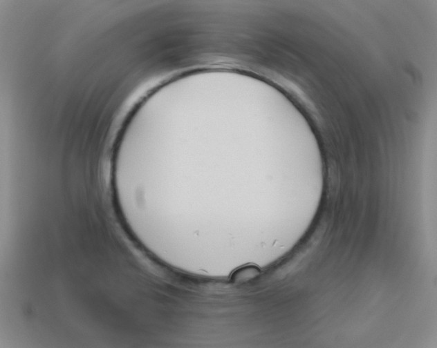 X0000113361424200910131251