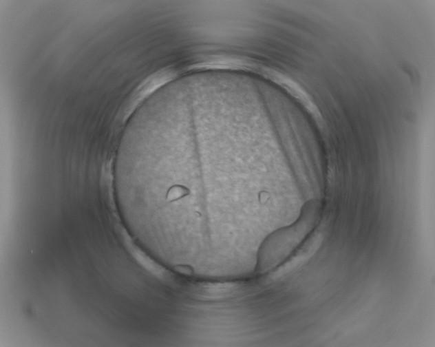 X0000113361425200910131251