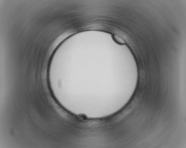 X0000113361426200910131251