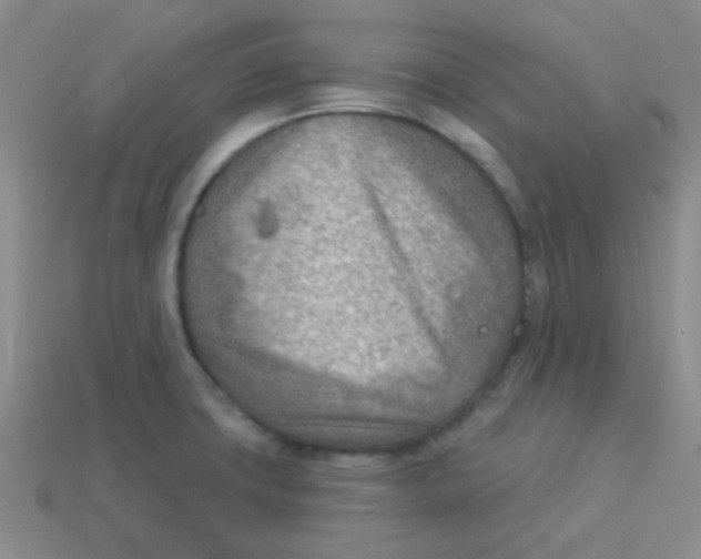 X0000113361427200910131251