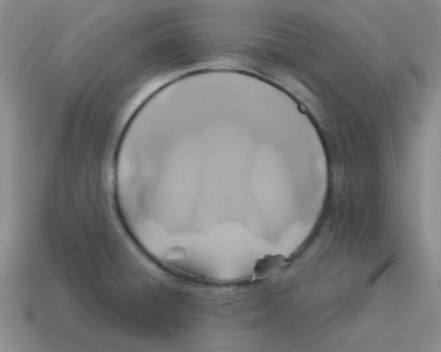 X0000113361428200910131251