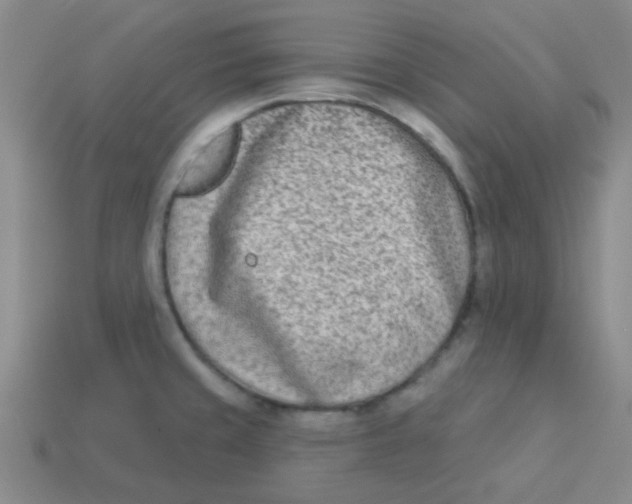 X0000113361429200910131251