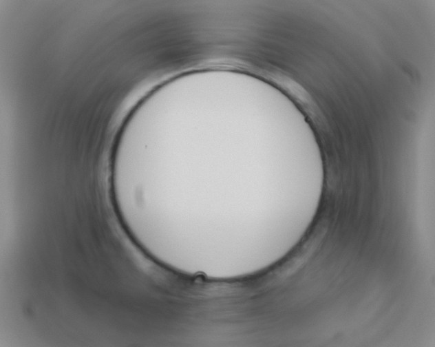 X0000113361430200910131251