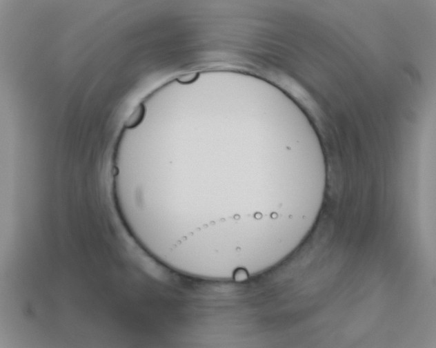 X0000113361431200910131251