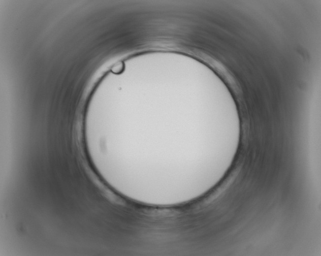 X0000113361432200910131251