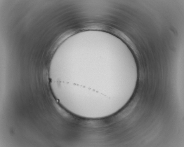 X0000113361433200910131251