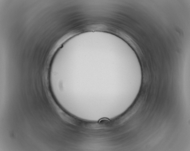 X0000113361434200910131251