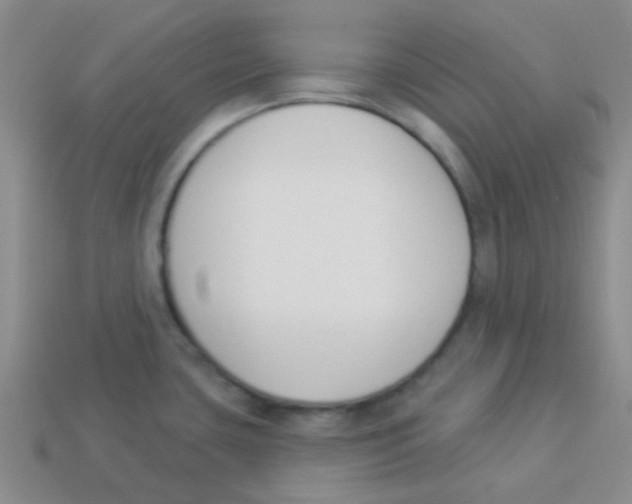 X0000113361435200910131251