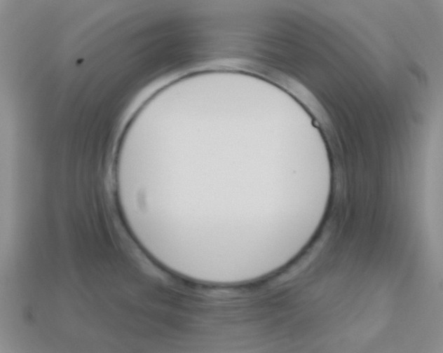 X0000113361436200910131251