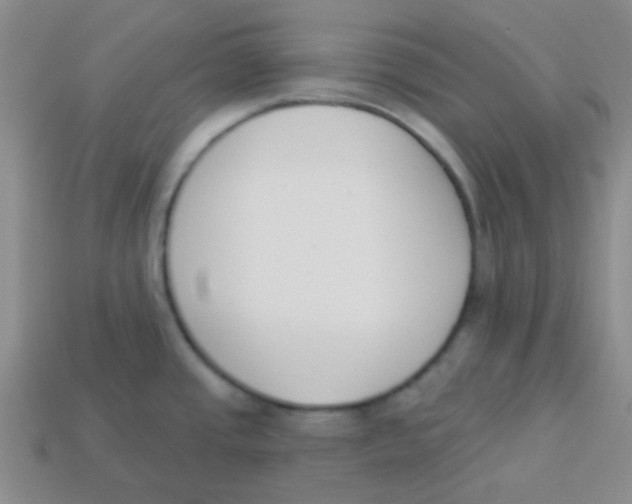 X0000113361437200910131251