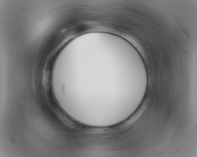 X0000113361438200910131251