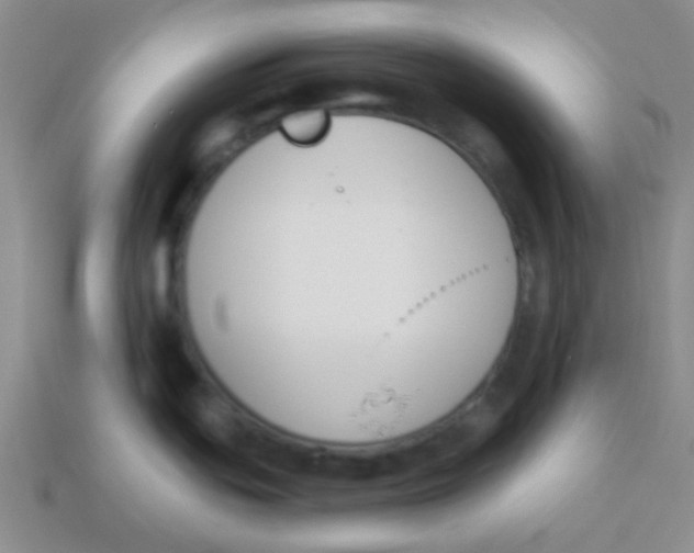 X0000113361439200910131251