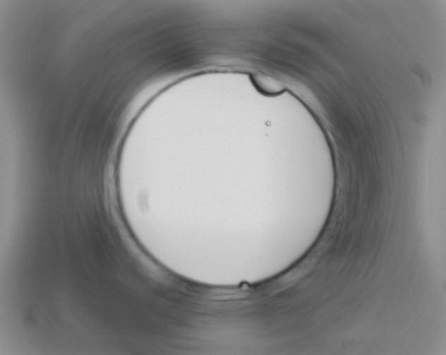 X0000113361440200910131251