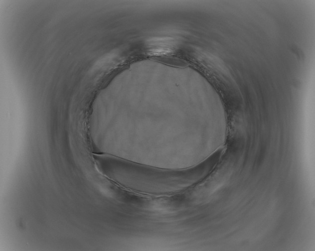 X0000113361441200910131251