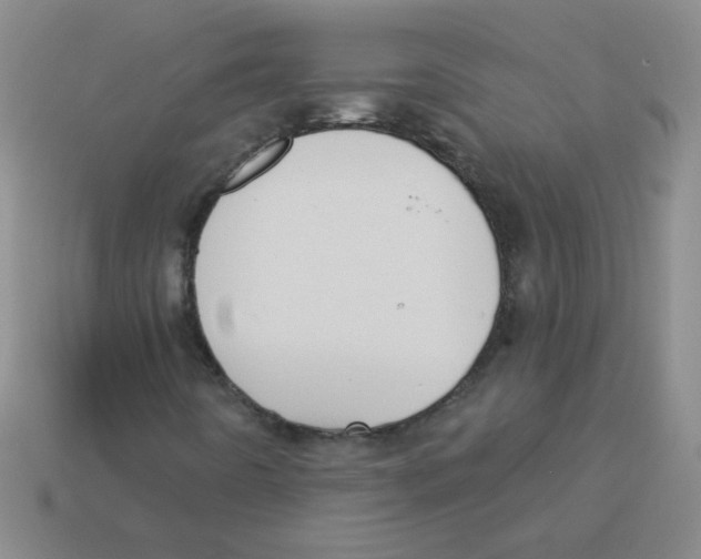 X0000113361442200910131251