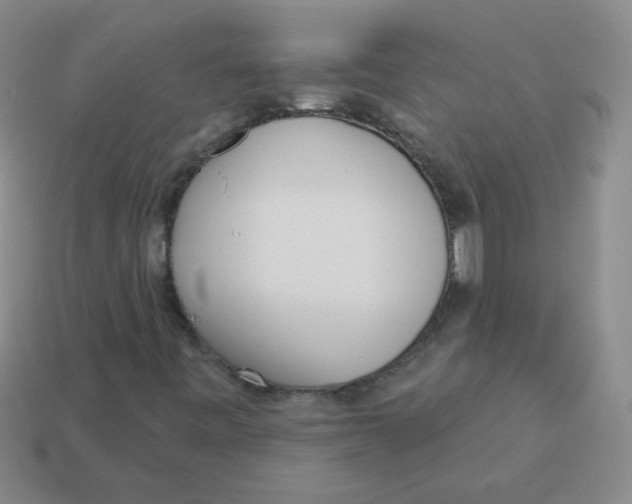 X0000113361443200910131251