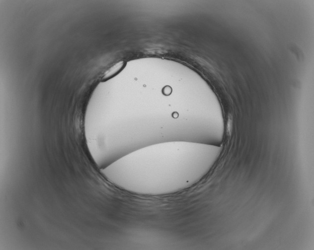 X0000113361444200910131251