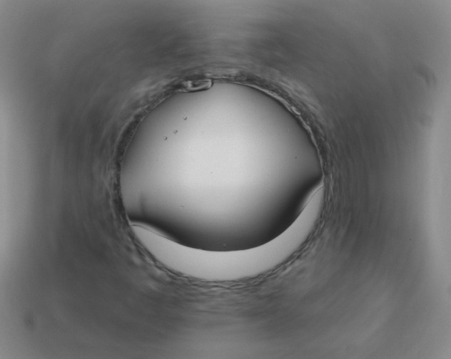 X0000113361445200910131251