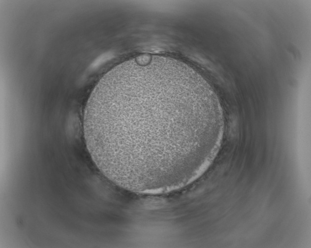 X0000113361446200910131251