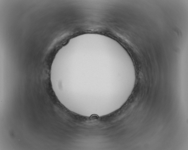 X0000113361447200910131251