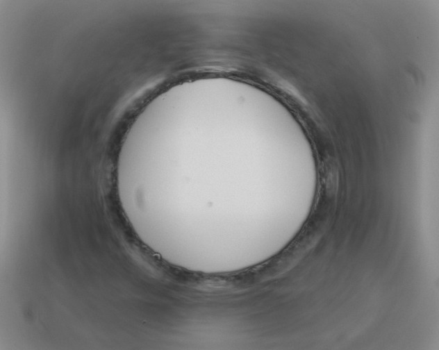 X0000113361448200910131251