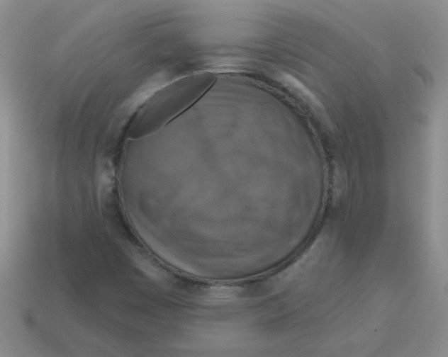 X0000113361449200910131251