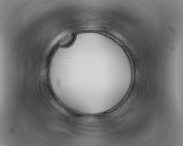 X0000113361450200910131251