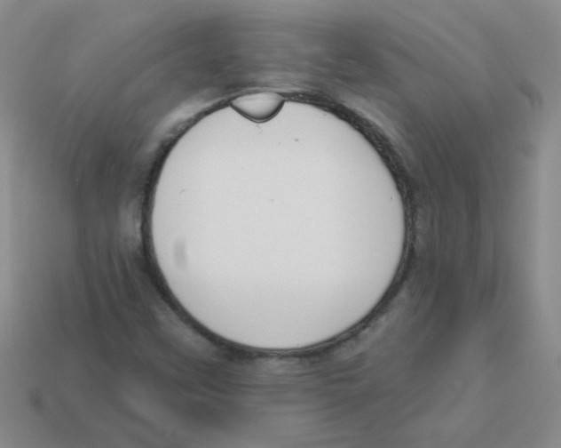 X0000113361451200910131251